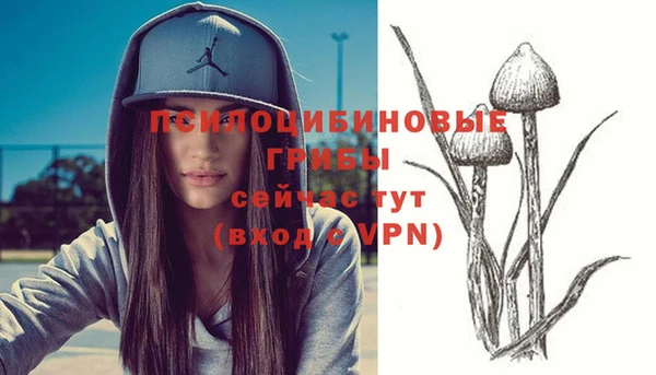 mdpv Приозерск