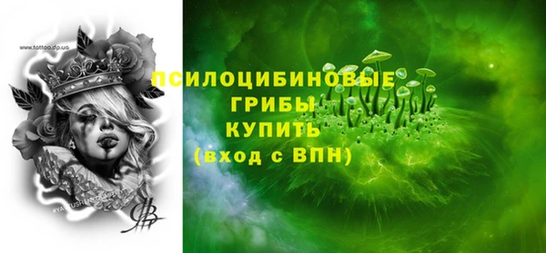 дурь Алексин