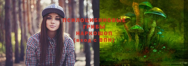дурь Алексин