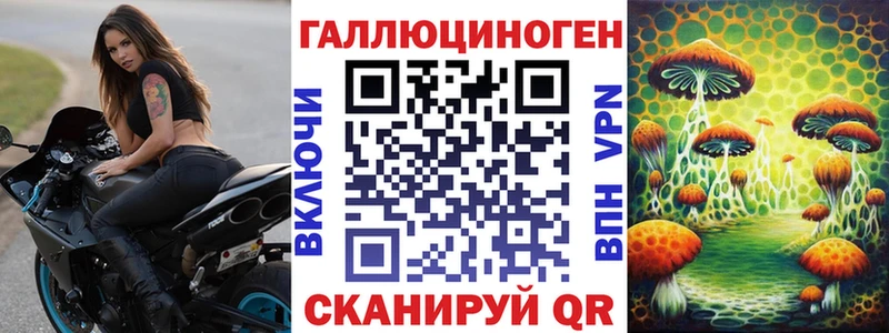 Галлюциногенные грибы Psilocybine cubensis  сколько стоит  Киселёвск 